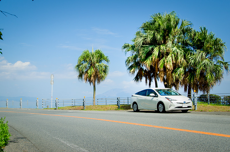 桜島や海を眺める海岸線を走る、カップルにも人気のドライブルートです。