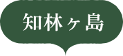 知林ヶ島